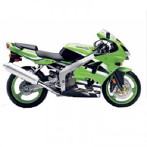 Billigste 2000-2002 Kawasaki ZX6R Verkleidung