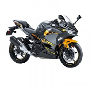 Billigste Kawasaki Ninja EX400 Verkleidung