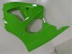 Billigste Kawasaki ZX6R Motorrad Verkleidung 2000-2002 - Grun Schwarz
