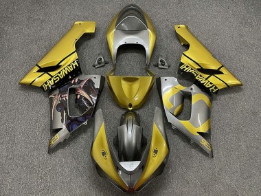 Billigste Kawasaki ZX6R Motorrad Verkleidung 2005-2006 - Gold Silber
