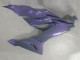 Billigste Kawasaki ZX6R Motorrad Verkleidung 2019-2022 - Chameleon Grau Dazz Perl Lila