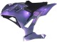 Billigste Kawasaki Ninja 500 EX500R Motorrad Verkleidung 2024-2025 - Chameleon Grau Dazz Perl Lila