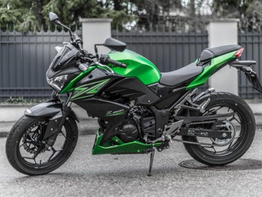 Billigste Kawasaki Z250/Z300 Motorrad Verkleidung Kit 2015-2016 - Grun Matt Schwarz
