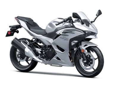 Billigste Kawasaki Ninja 500 EX500R Motorrad Verkleidung 2024-2025 - Metallisch Silber Ninja