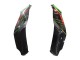 Billigste Kawasaki ZX10R Motorrad Verkleidung 2021-2025 - Grun Schwarz Rot