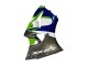 Billigste Kawasaki ZX6R Motorrad Verkleidung 1998-1999 - Grun Weiss Blau Silber Glanzendes Schwarz