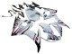 Billigste Yamaha YZF R6S Motorrad Verkleidung 2006-2009 - Weiss mit Dunkel Schwarz Flamme