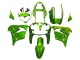 Billigste Kawasaki ZX9R Motorrad Verkleidung 2000-2001 - Grun Flamme