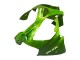 Billigste Kawasaki ZX9R Motorrad Verkleidung 2000-2001 - Grun Flamme