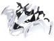 Billigste Kawasaki EX650 Motorrad Verkleidung 2012-2016 - Weiss Schwarz