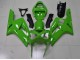 Billigste Grün Kawasaki ZX6R 2003-2004 Verkleidung Billigste Grün Kawasaki ZX6R 2003-2004 Verkleidung